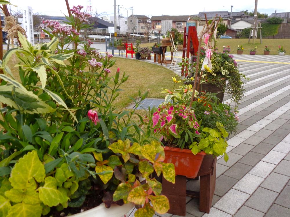 R7コンテナガーデン展2.JPG