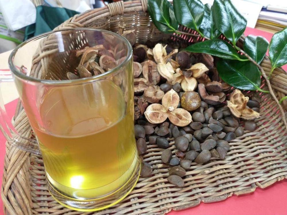 camelliaoil.jpeg