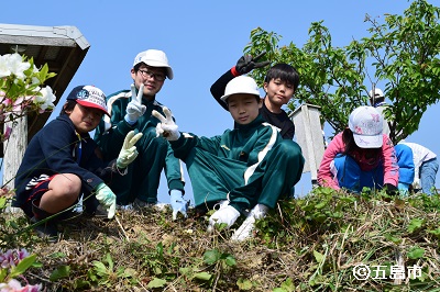 久賀小中学校の児童生徒が草むしりをする様子