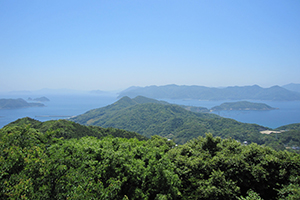 城岳展望所から眺め